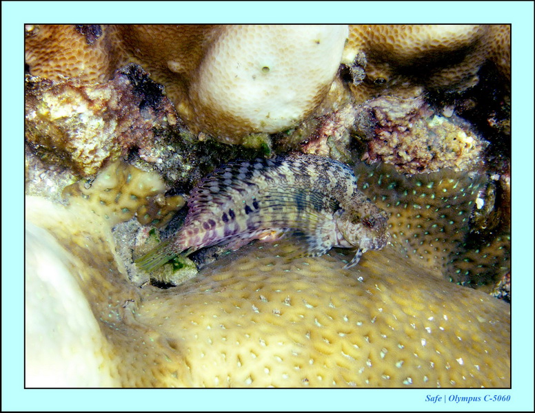 2005 - 08 - Redang  - 158.JPG